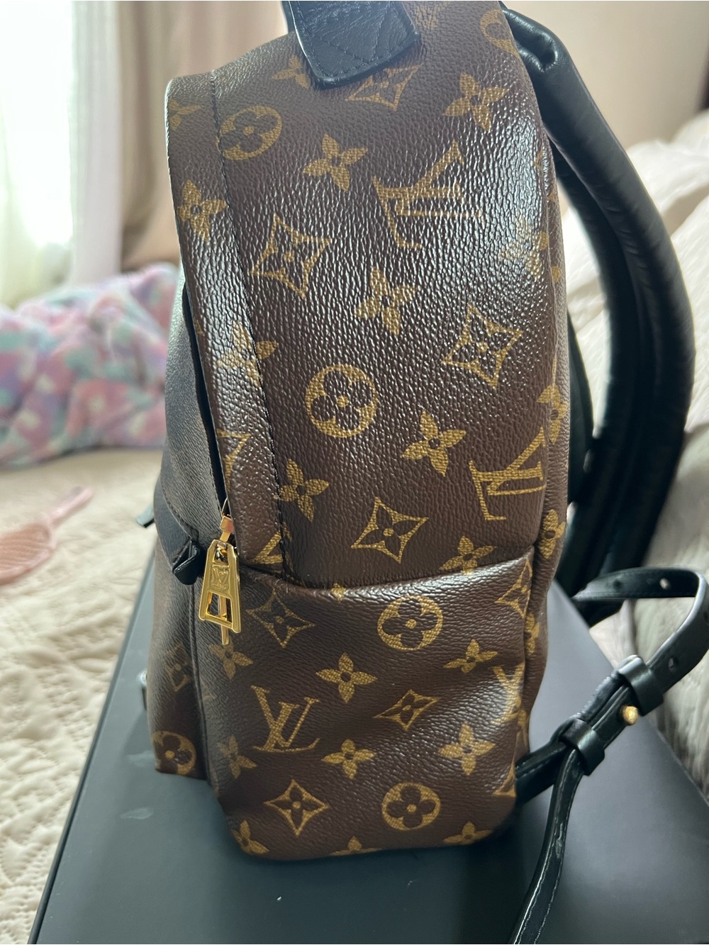 Louis Vuitton Monogram Palm Springs PM Backpack - Picture 2 of 16